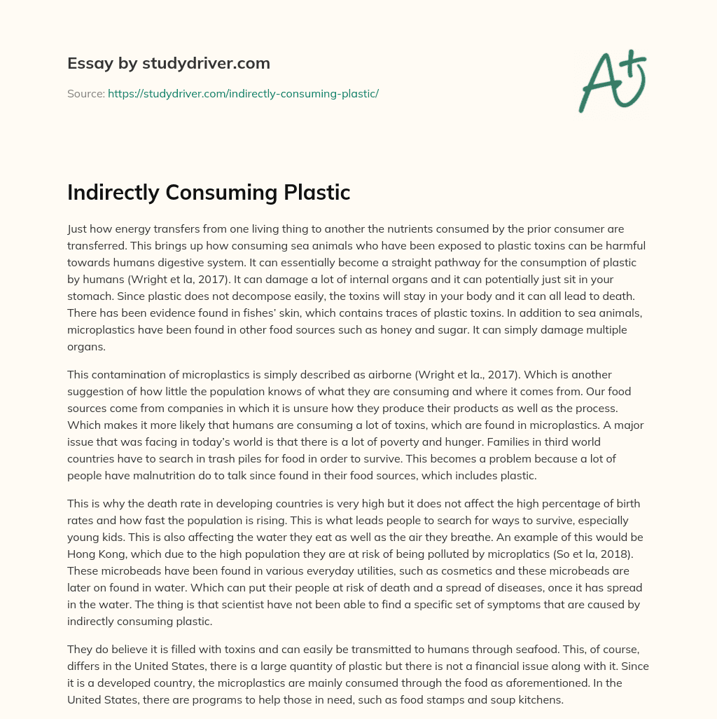 Indirectly Consuming Plastic essay