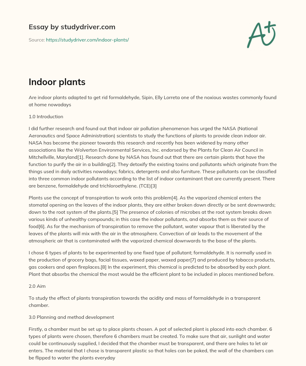 Indoor Plants essay