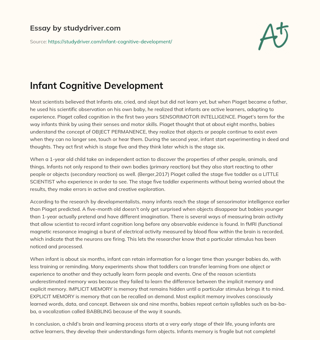 Infant Cognitive Development essay