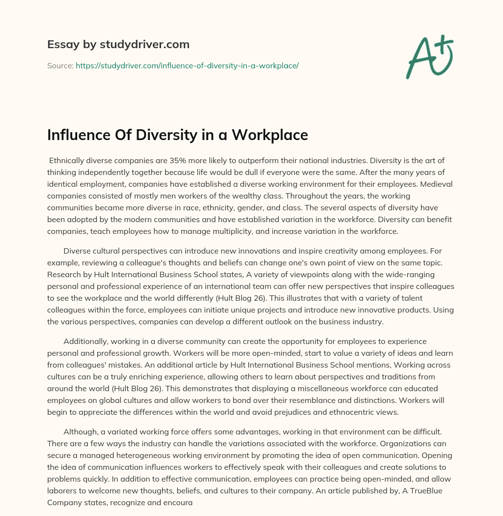 Influence of Diversity in a Workplace essay