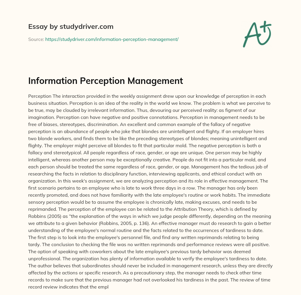 Information Perception Management essay