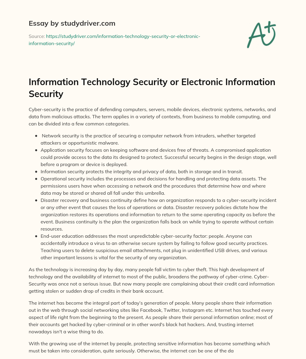 Information Technology Security or Electronic Information Security essay