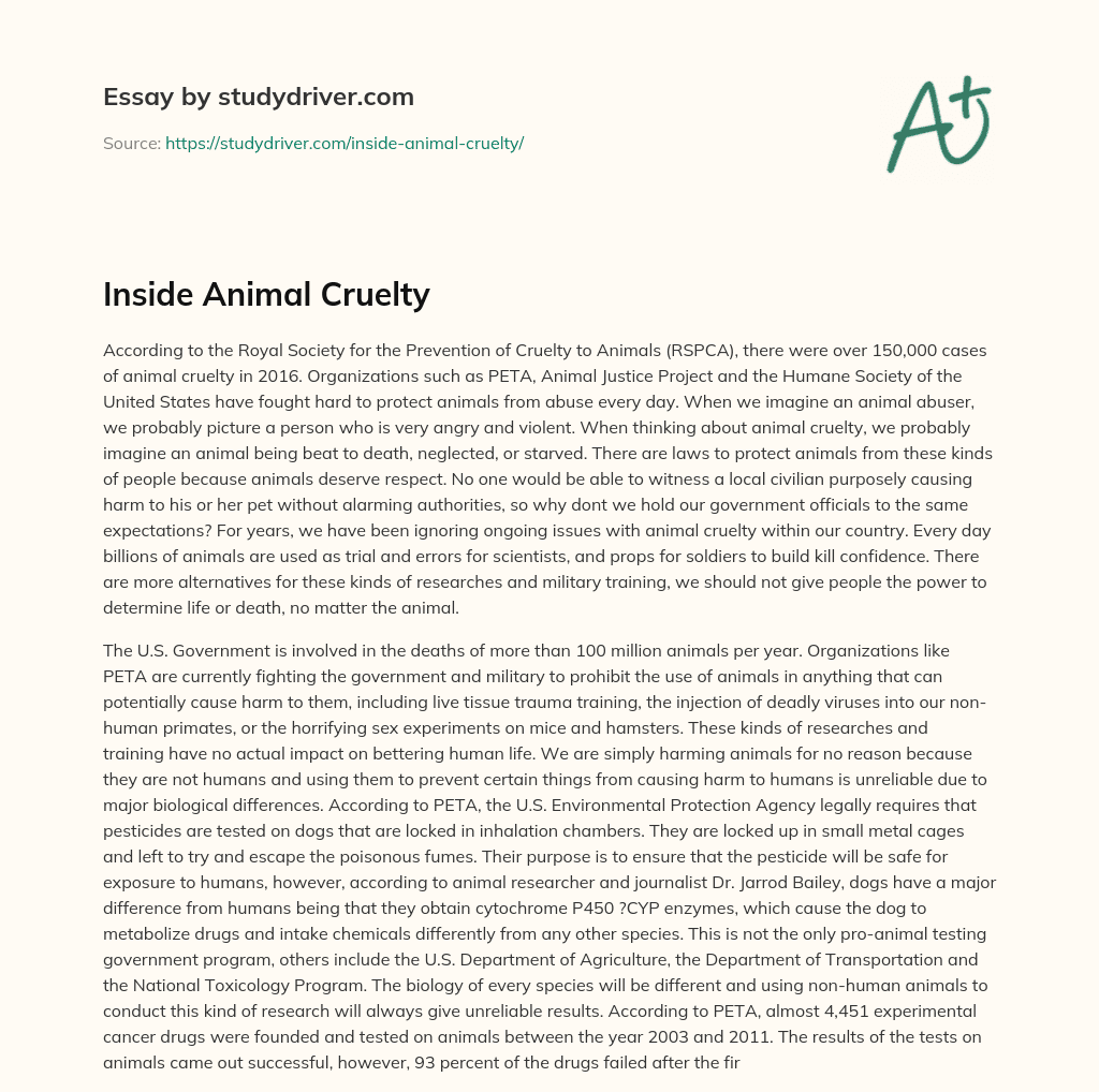 Inside Animal Cruelty essay