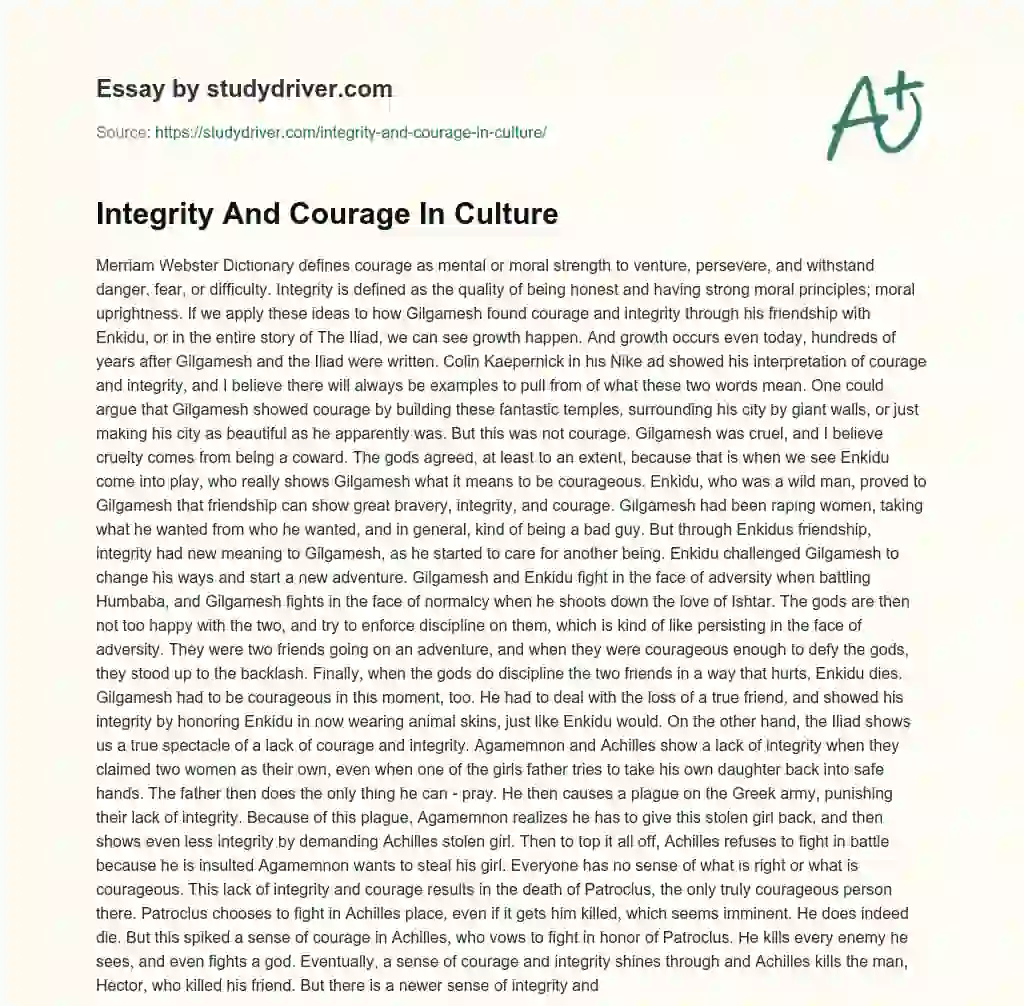 Integrity and Courage in Culture essay