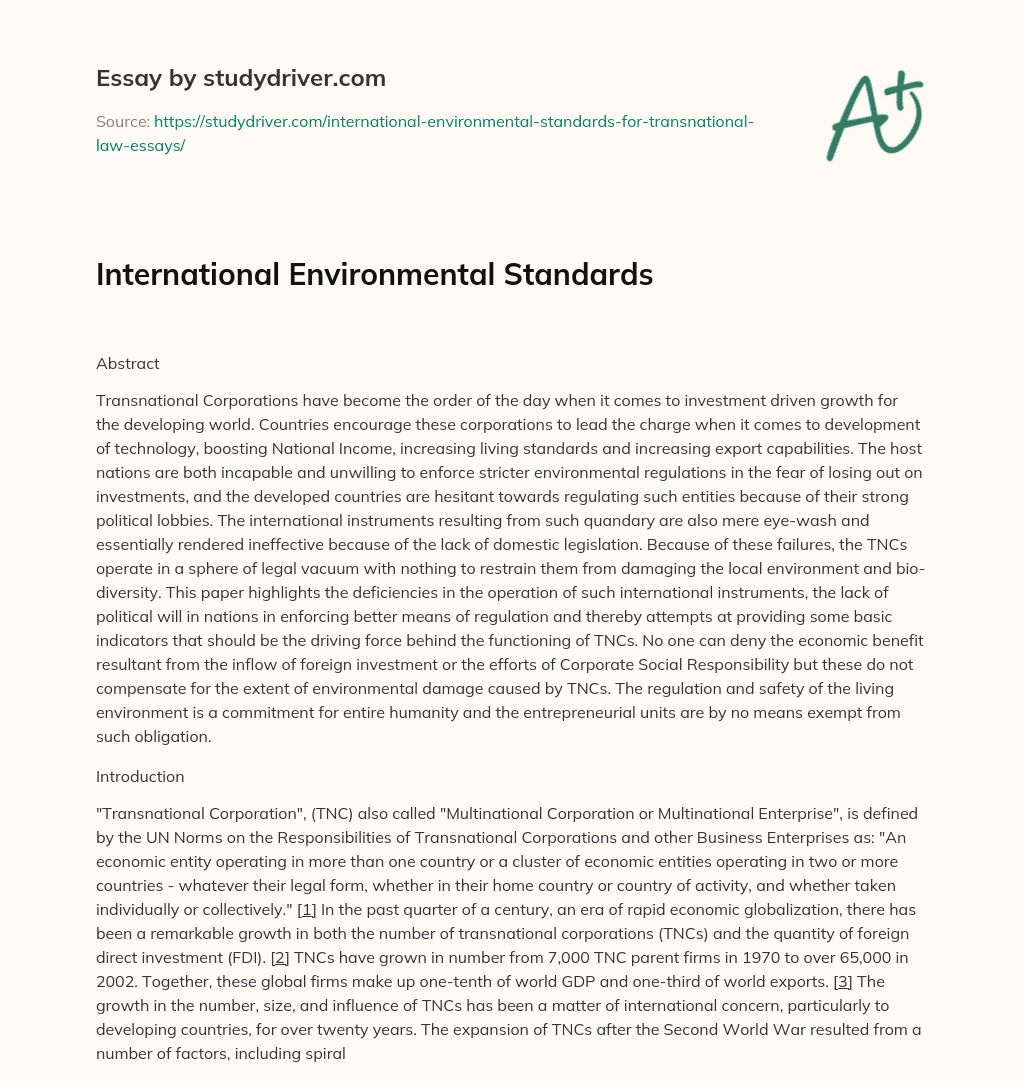 International Environmental Standards essay