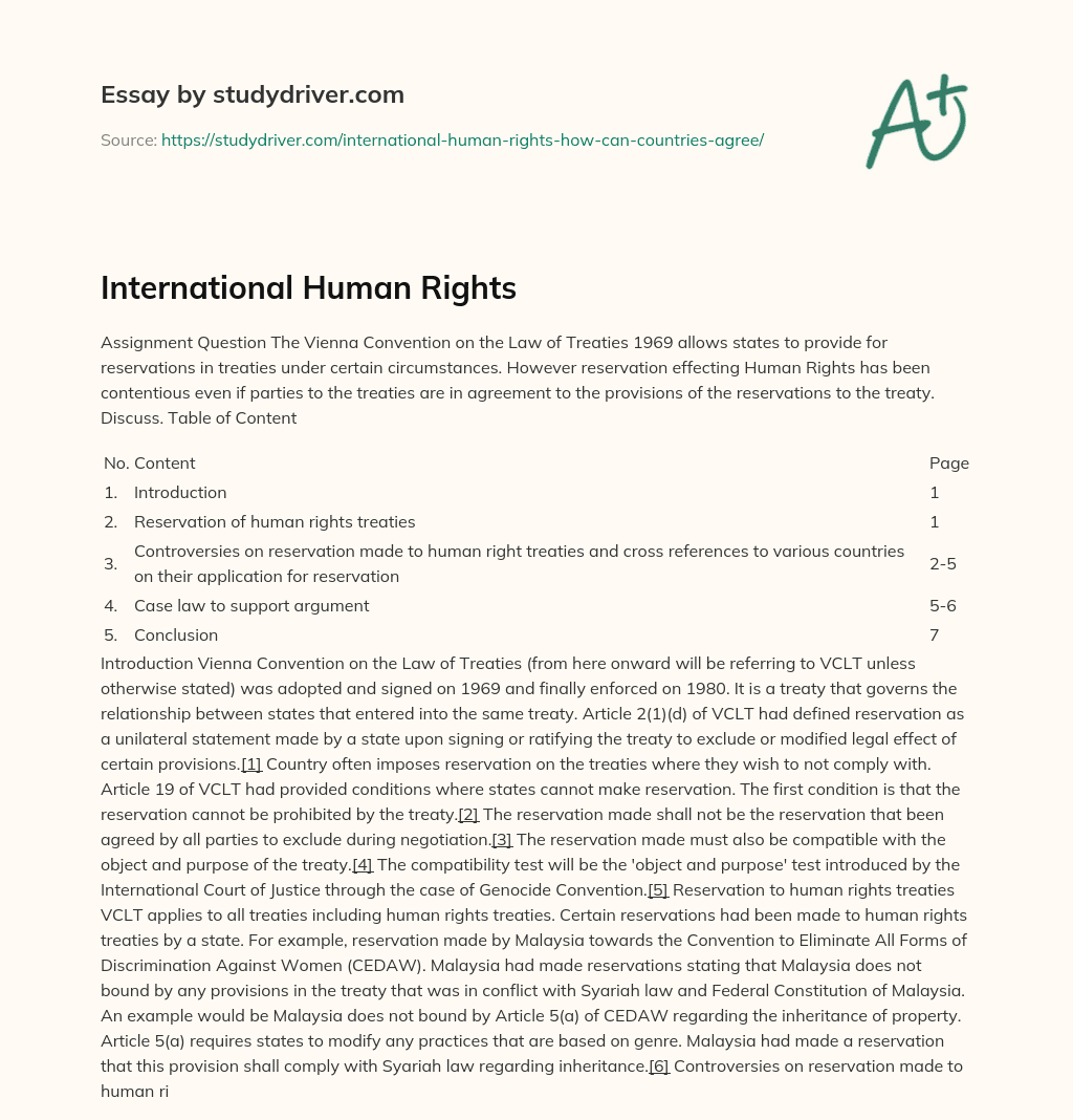 International Human Rights essay