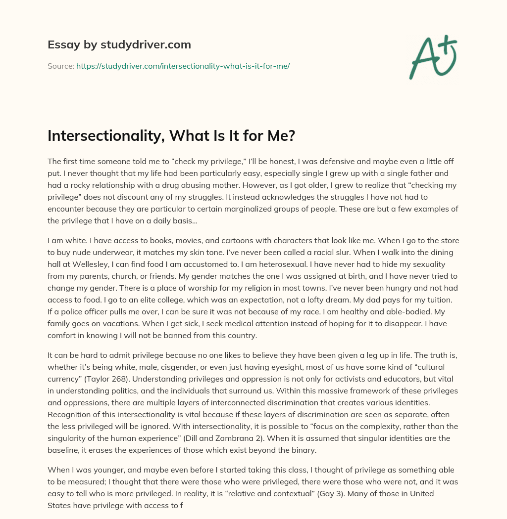 Intersectionality, what is it for Me? essay