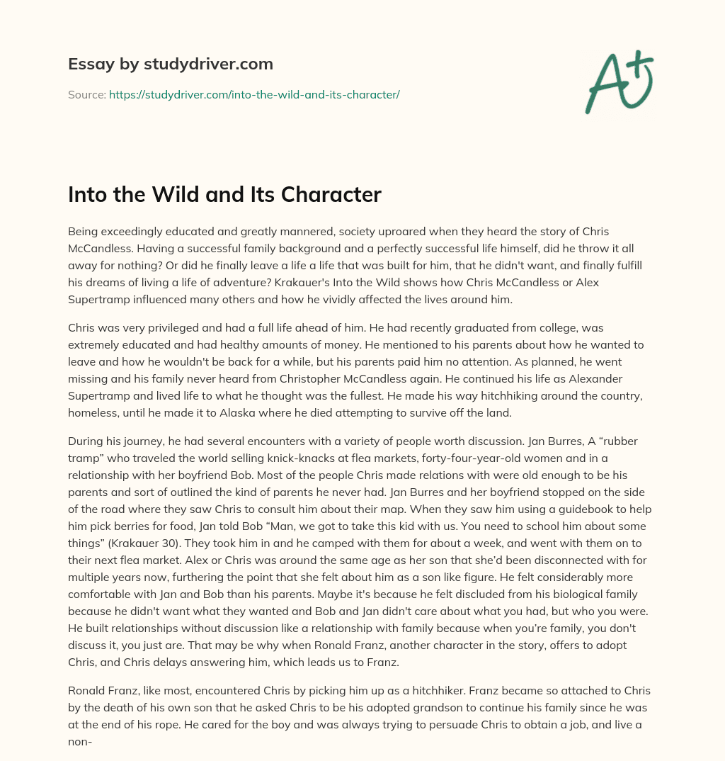 Into the Wild and its Character essay