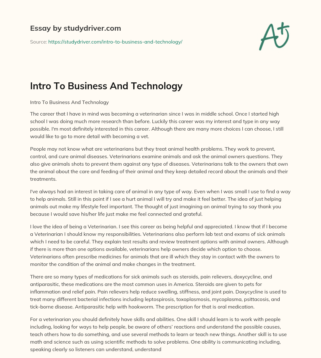 Intro to Business and Technology essay