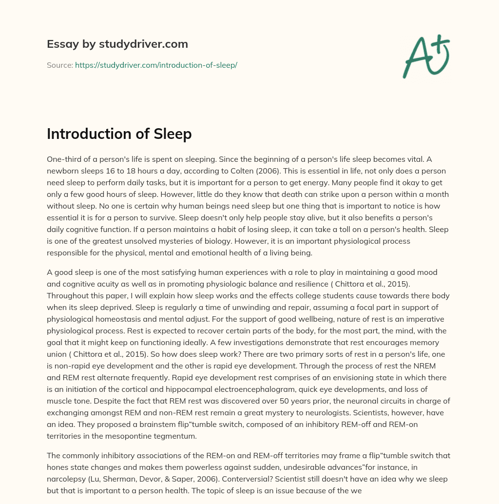 description of sleep essay