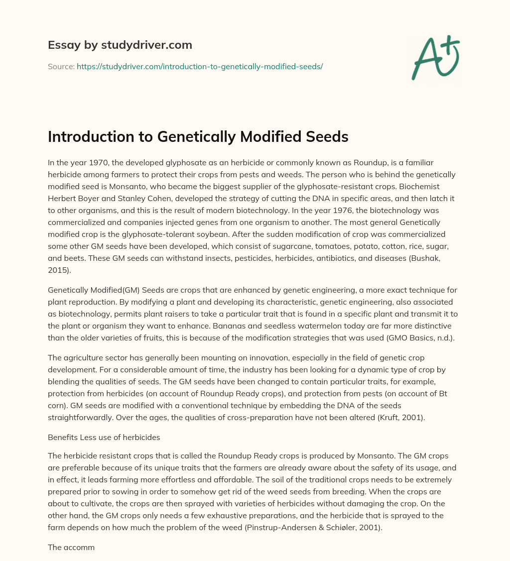 Introduction to Genetically Modified Seeds essay