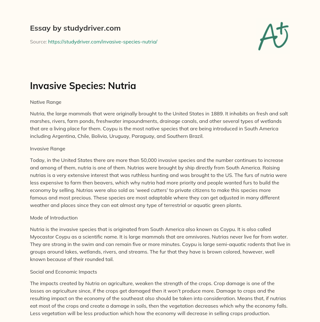 Invasive Species: Nutria essay