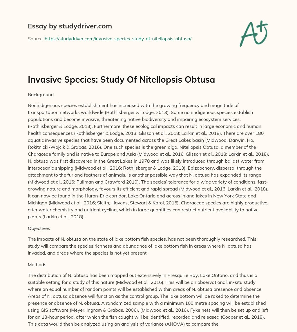 Invasive Species: Study of Nitellopsis Obtusa essay