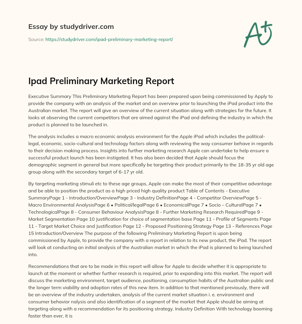 Ipad Preliminary Marketing Report essay