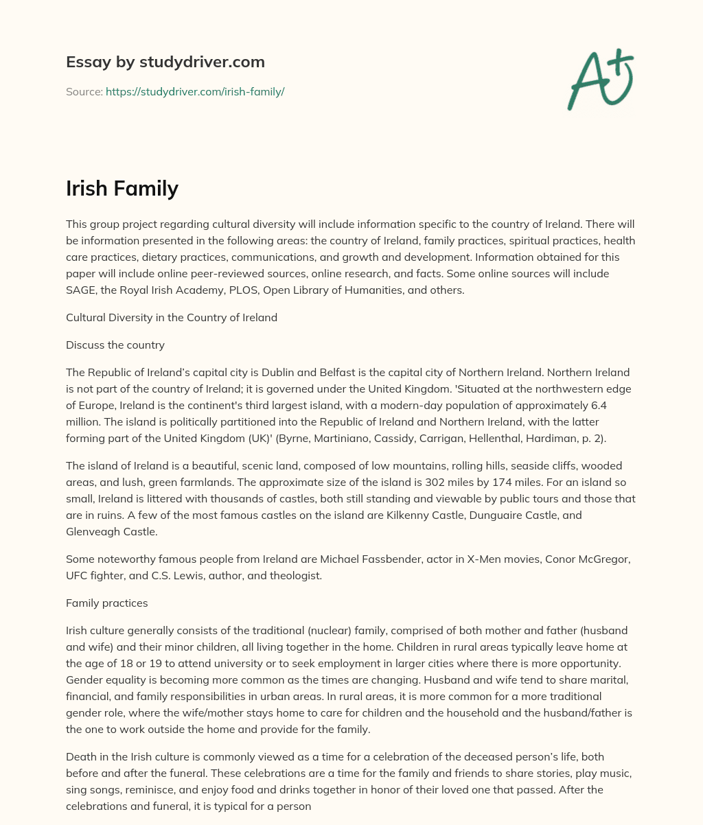 Irish Family essay
