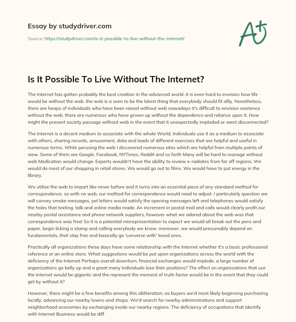 Is it Possible to Live Without the Internet? essay