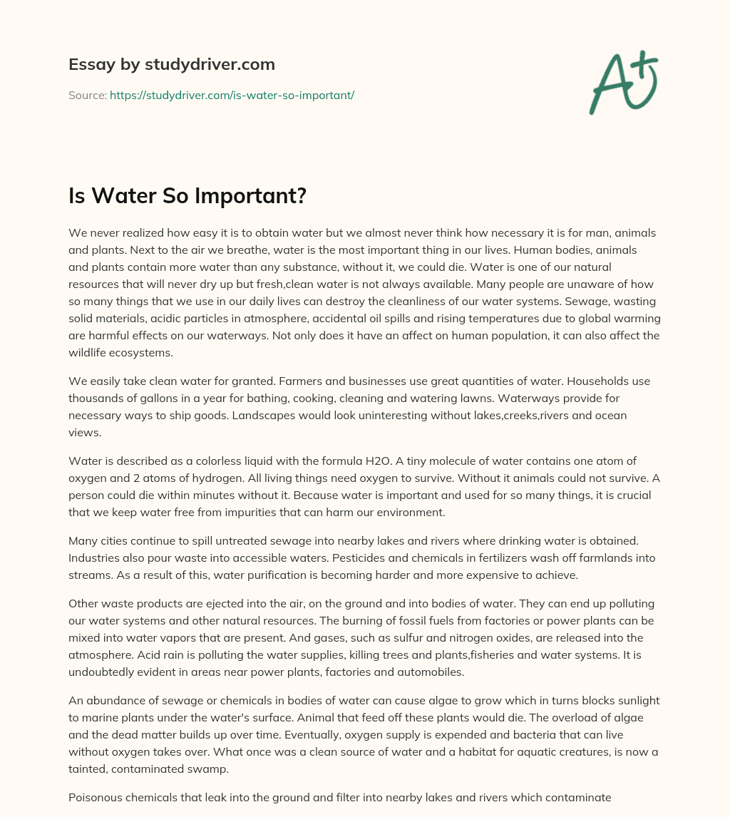 Is Water so Important? essay