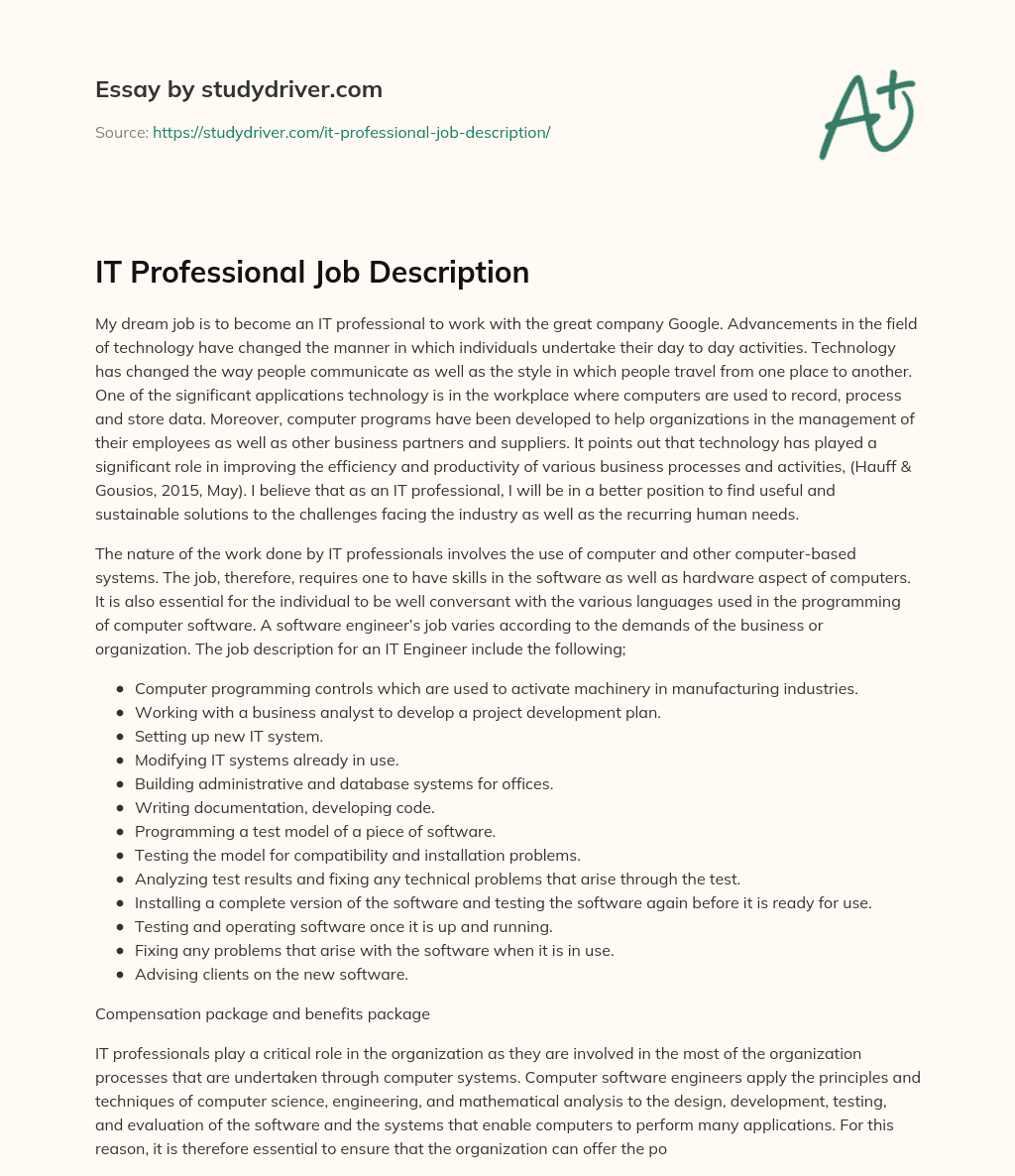 IT Professional Job Description essay