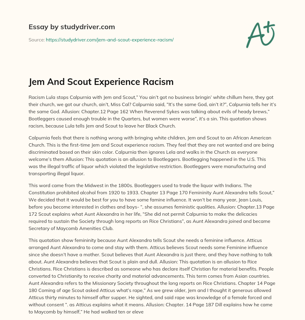 Jem and Scout Experience Racism essay