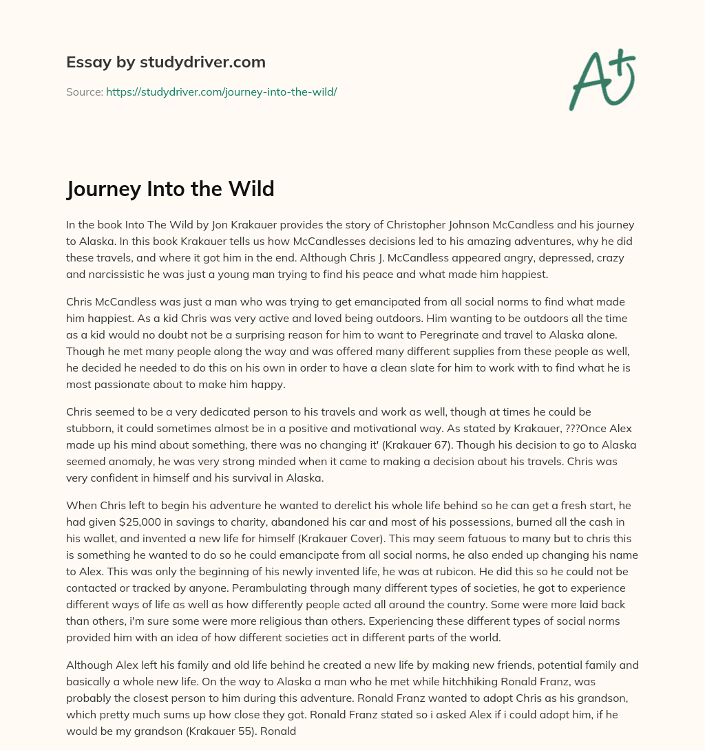 Journey into the Wild essay