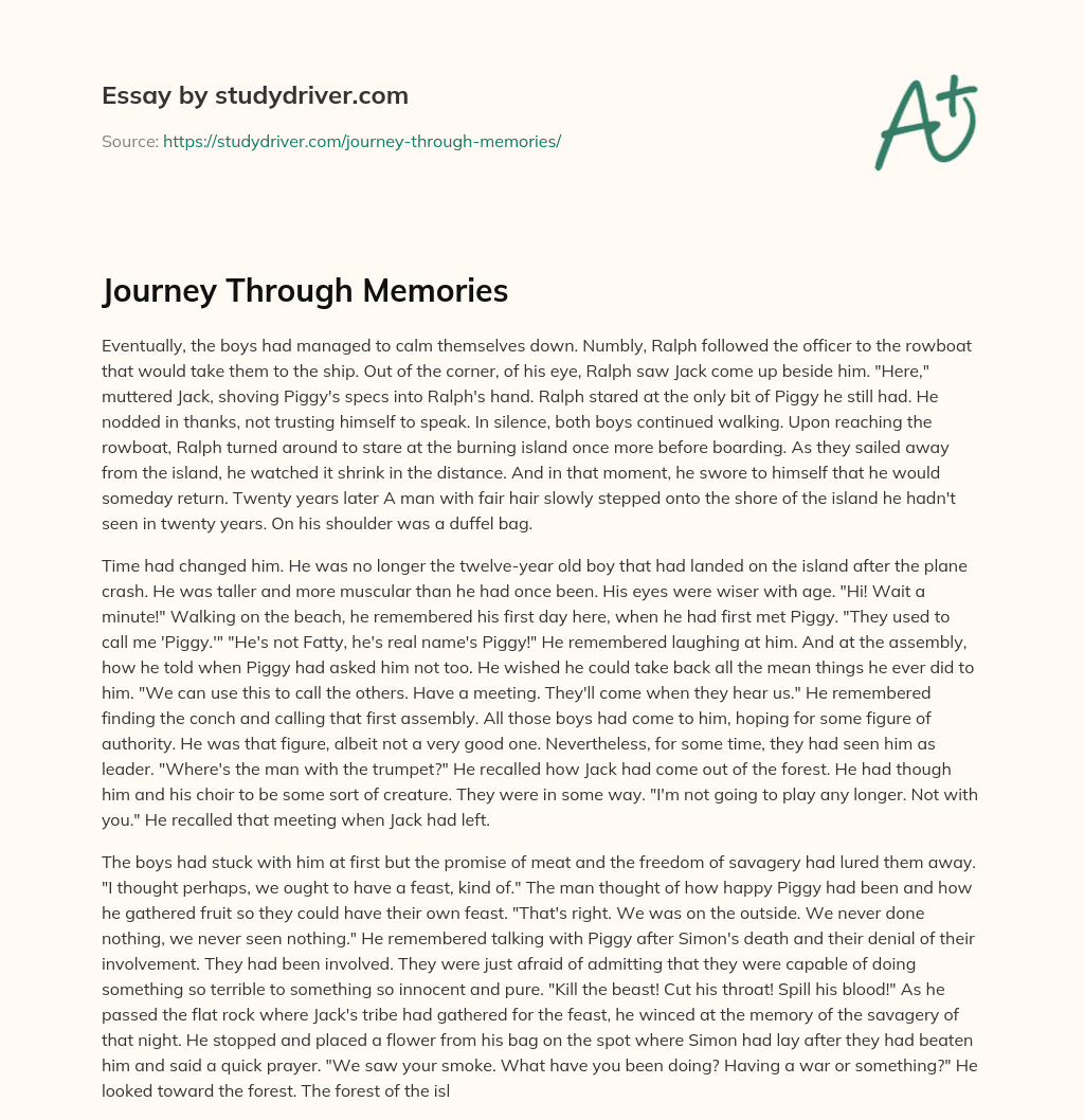 Journey through Memories essay
