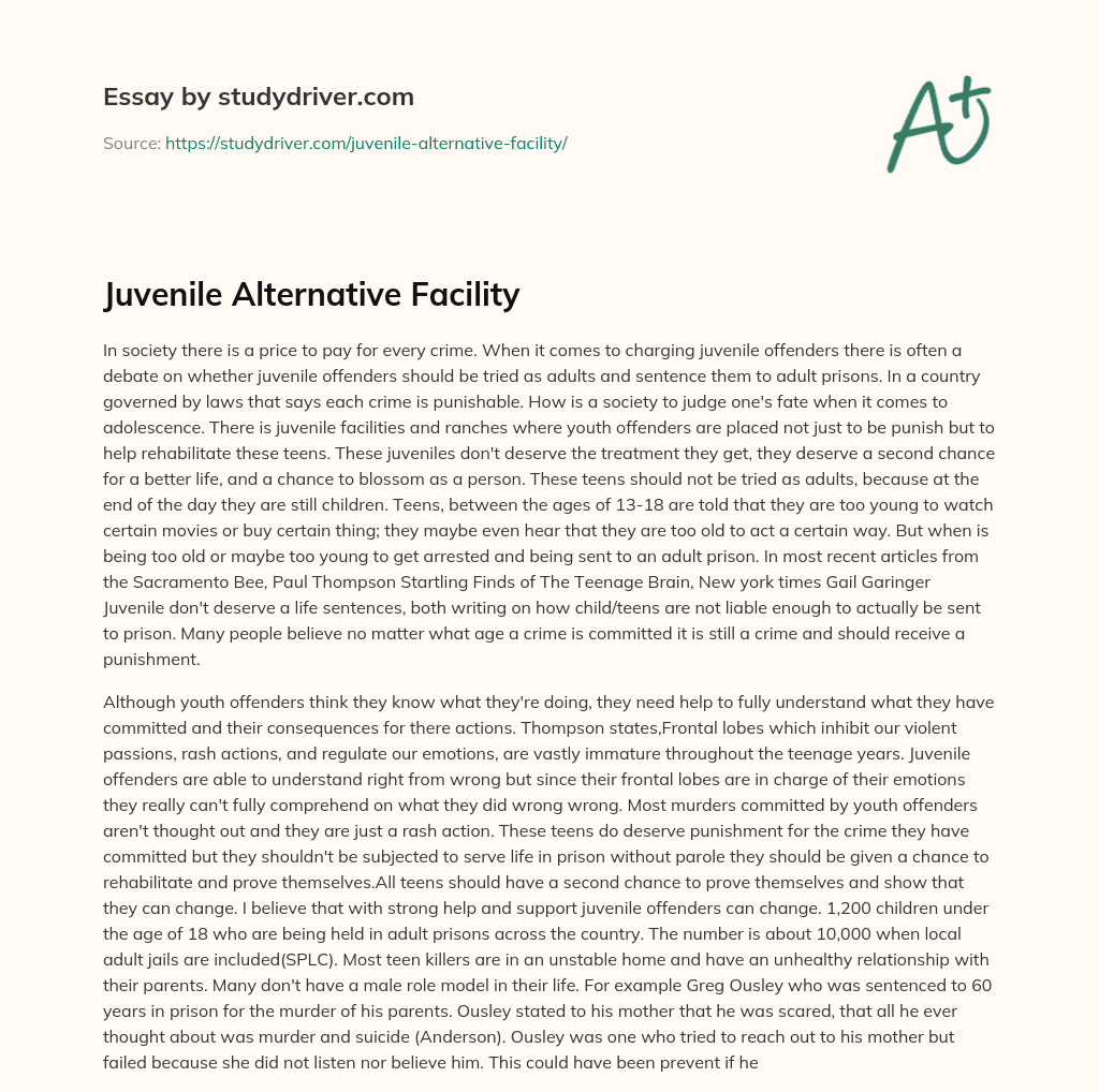Juvenile Alternative Facility essay