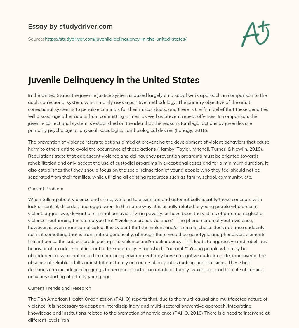 Juvenile Delinquency in the United States essay