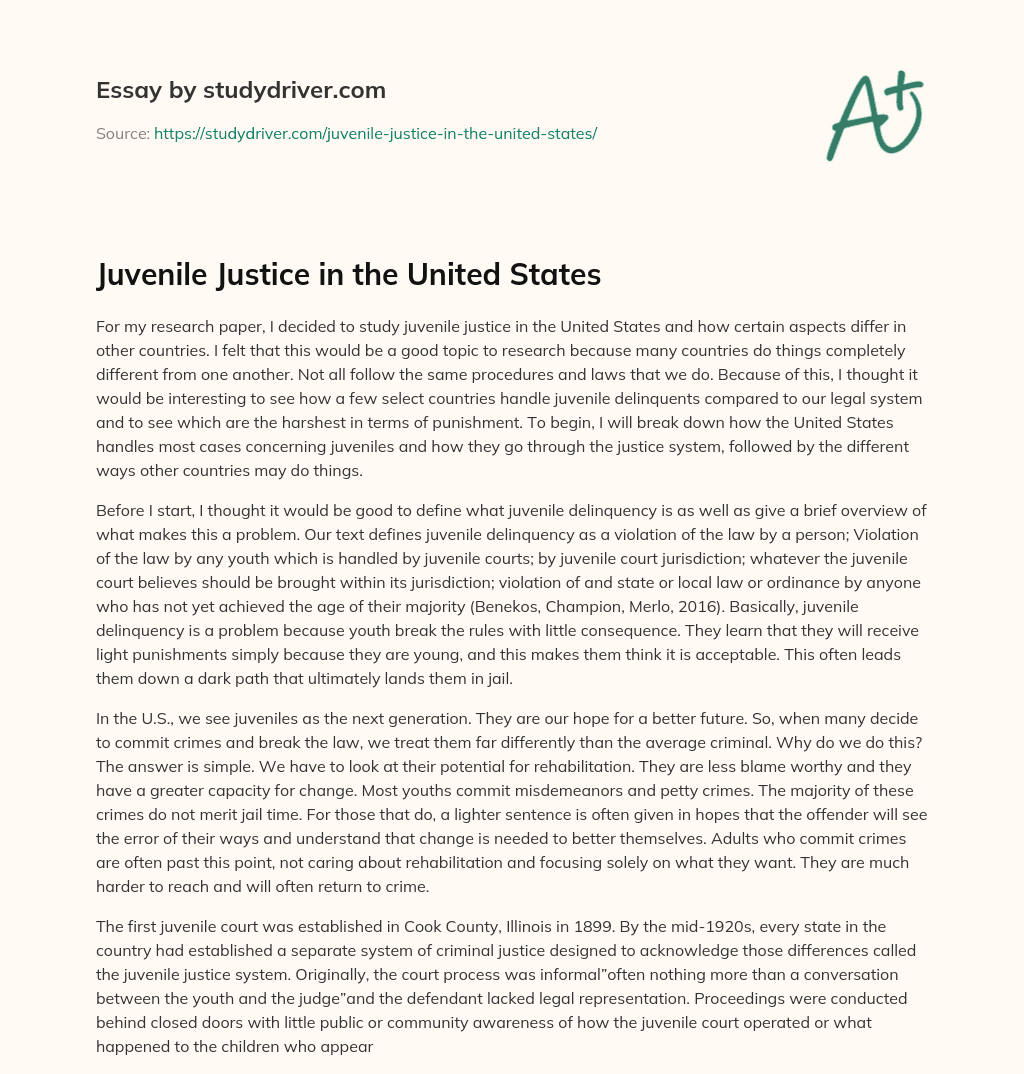 Juvenile Justice in the United States essay