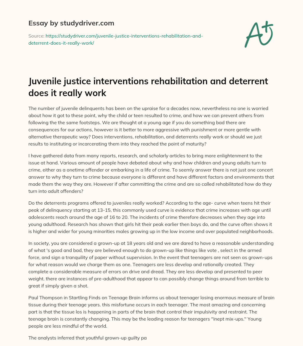 Juvenile Justice Interventions Rehabilitation and Deterrent does it Really Work essay