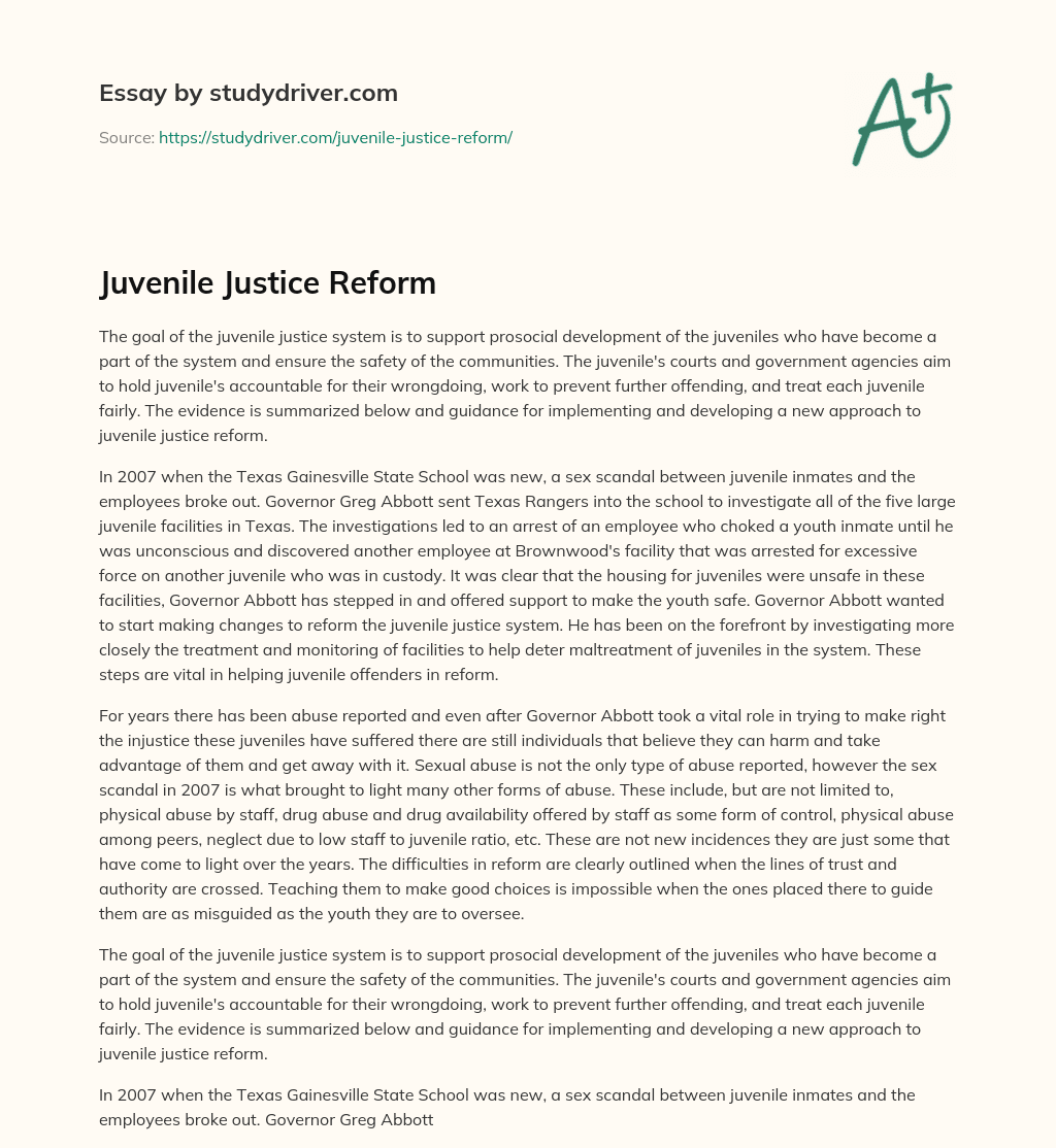 Juvenile Justice Reform essay