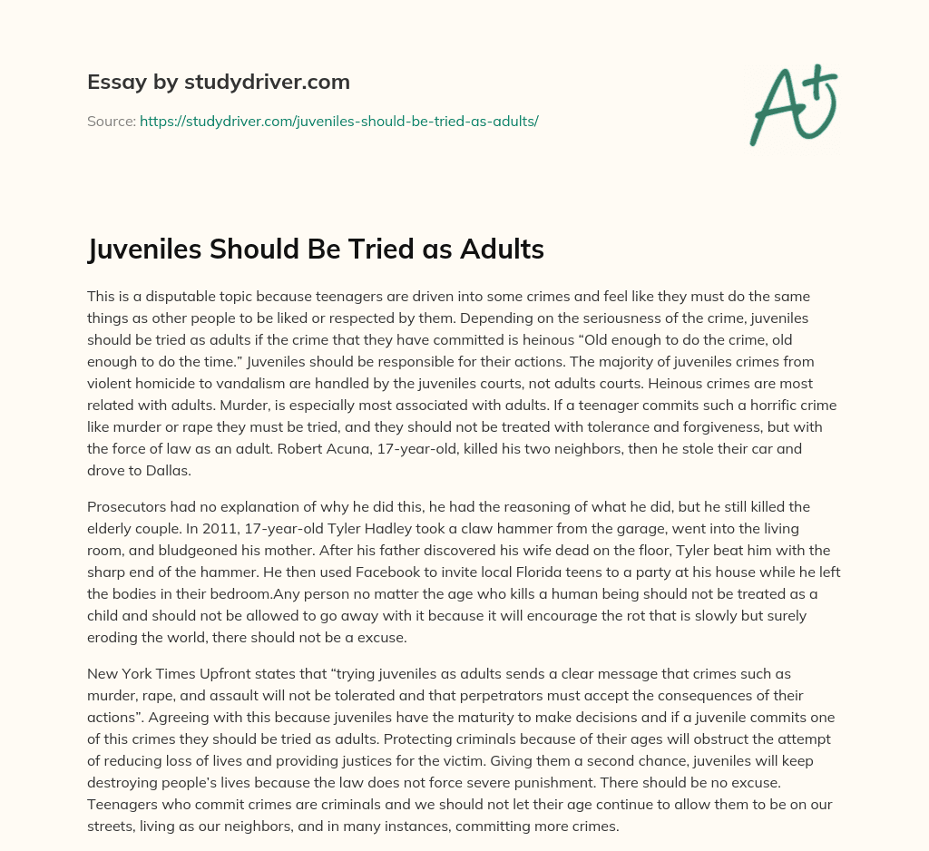 Juveniles should be Tried as Adults essay