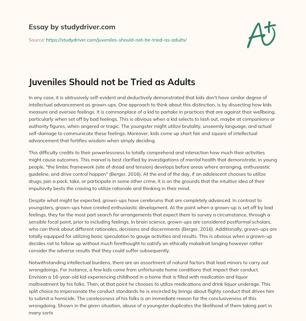 Juveniles should not be Tried as Adults essay