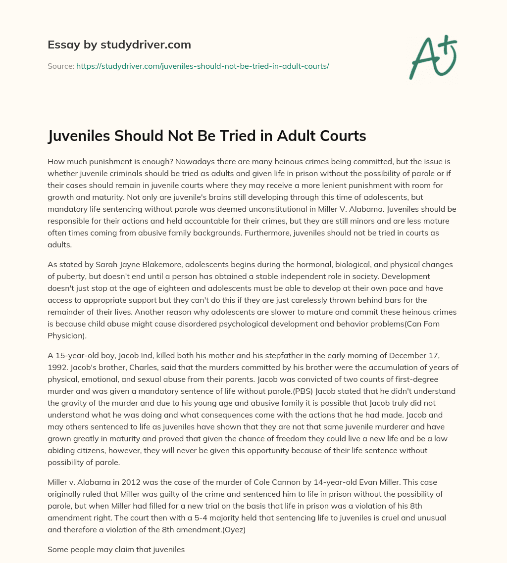 Juveniles should not be Tried in Adult Courts essay