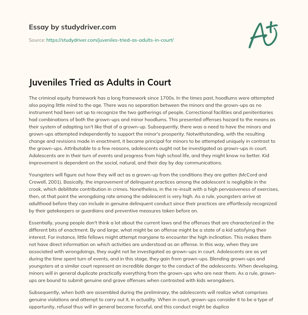 Juveniles Tried as Adults in Court essay
