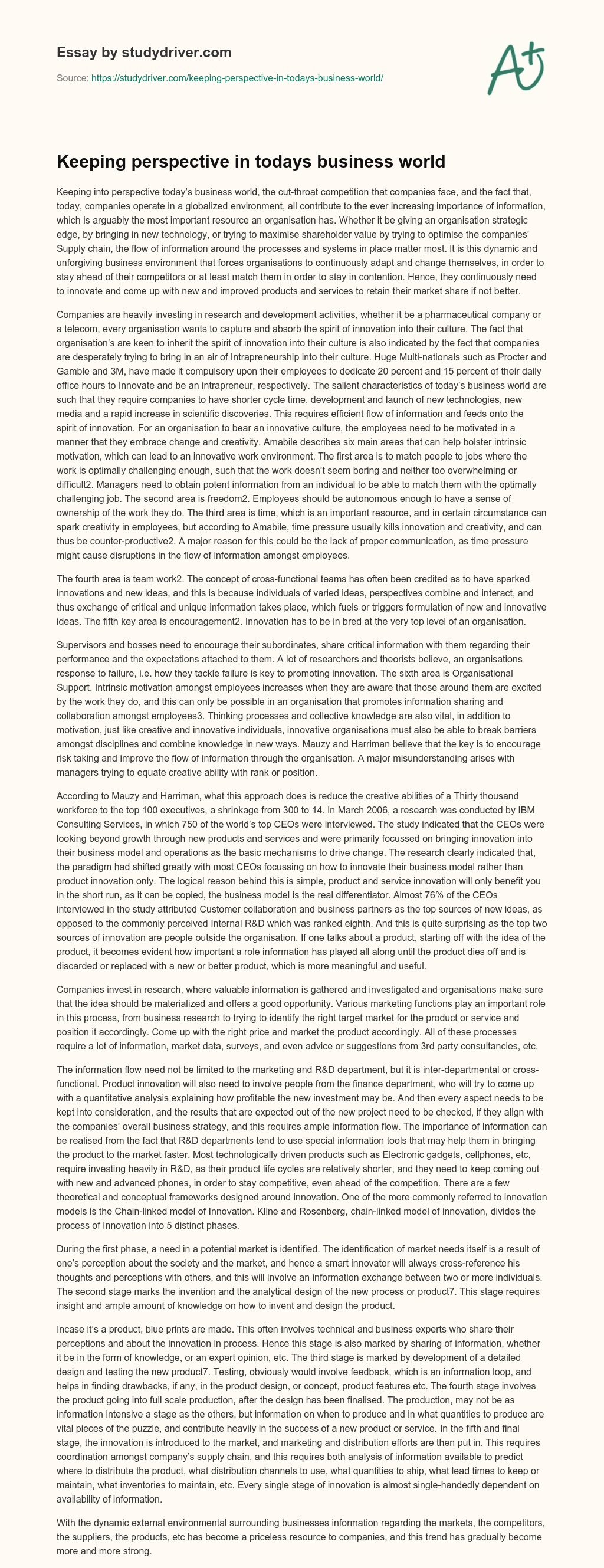 Keeping Perspective in Todays Business World essay