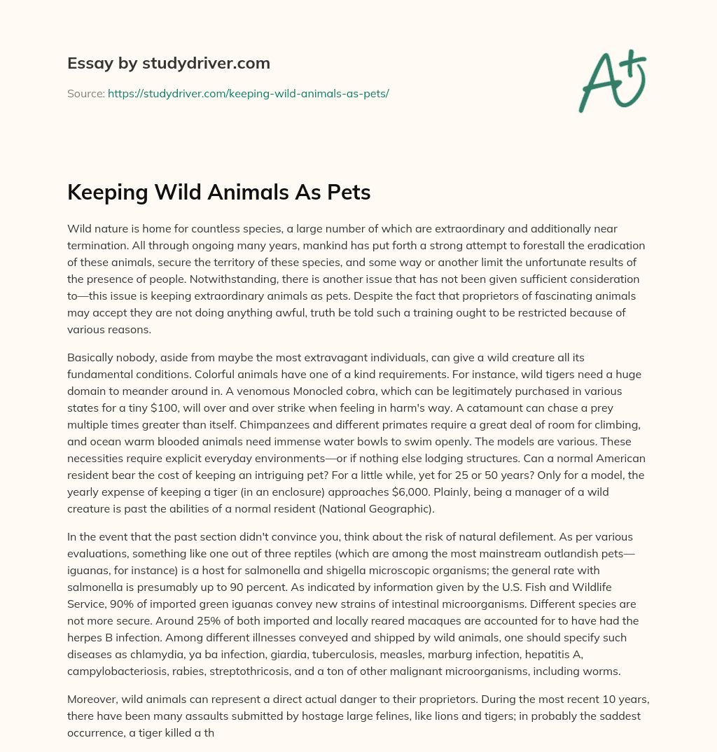 Keeping Wild Animals as Pets essay