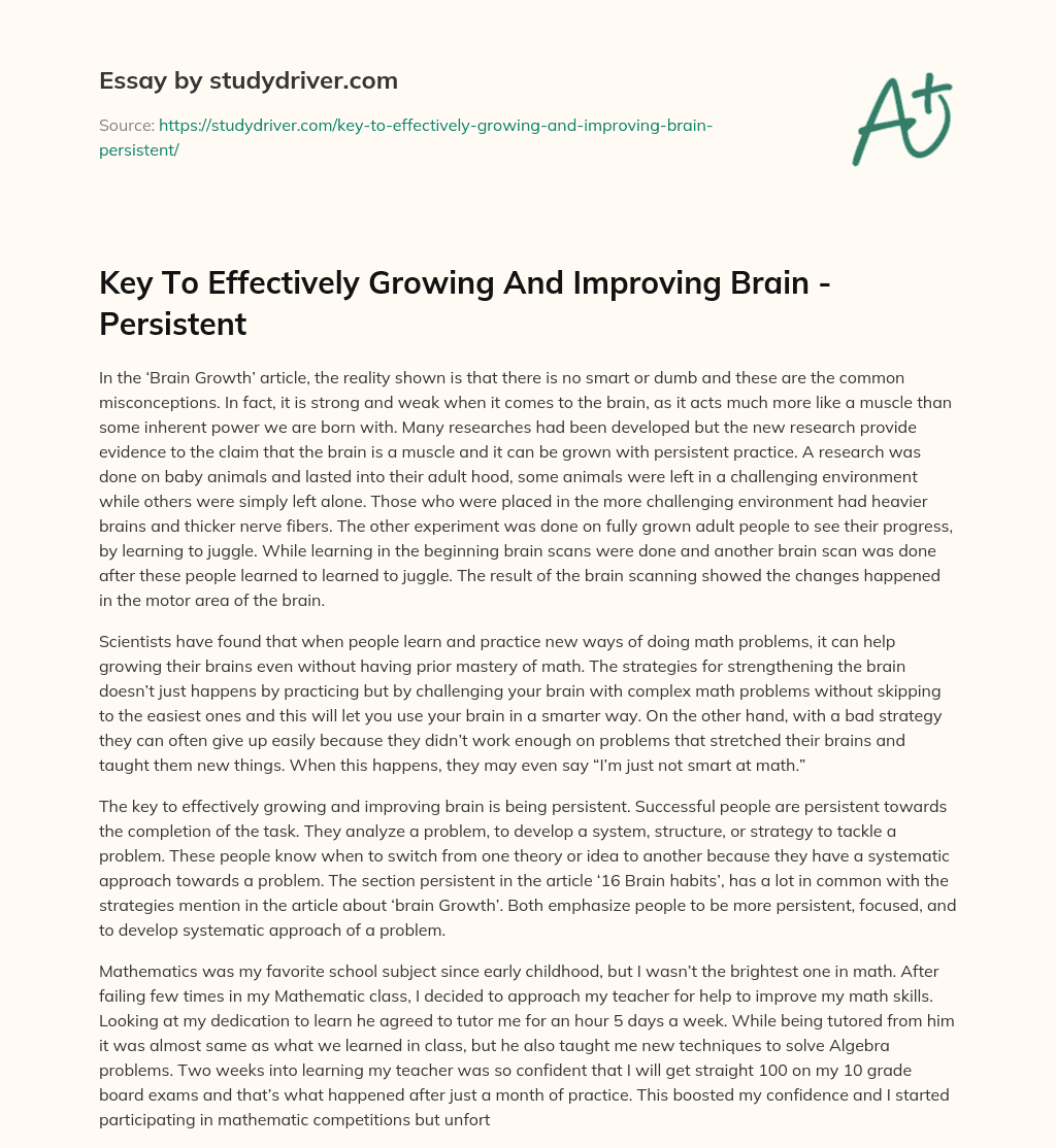 Key to Effectively Growing and Improving Brain – Persistent essay
