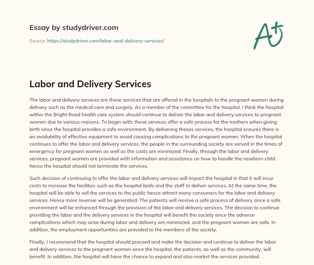 delivery service essay