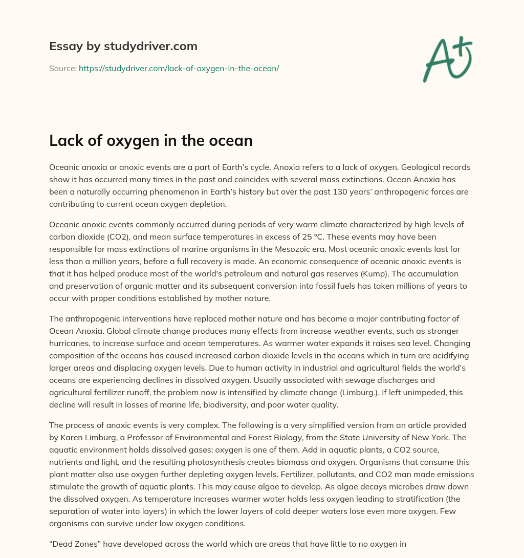 Lack of Oxygen in the Ocean essay
