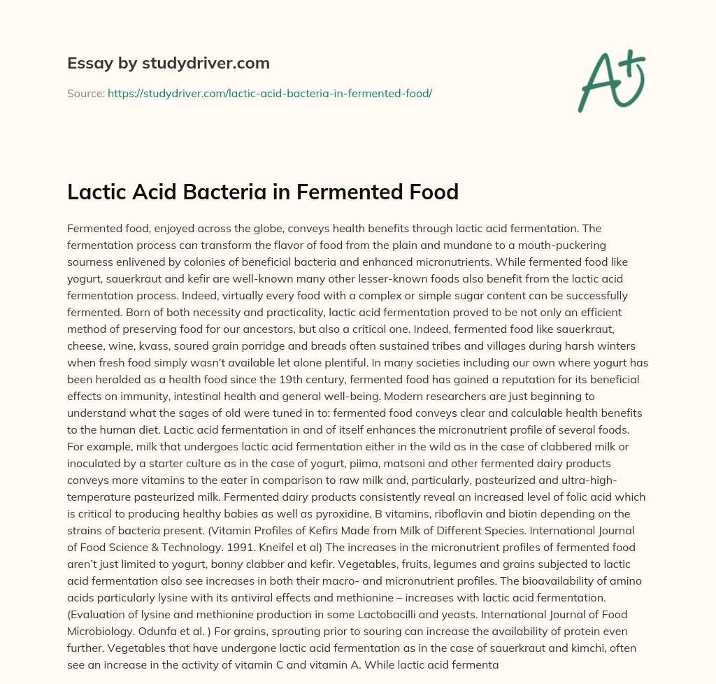 Lactic Acid Bacteria in Fermented Food essay