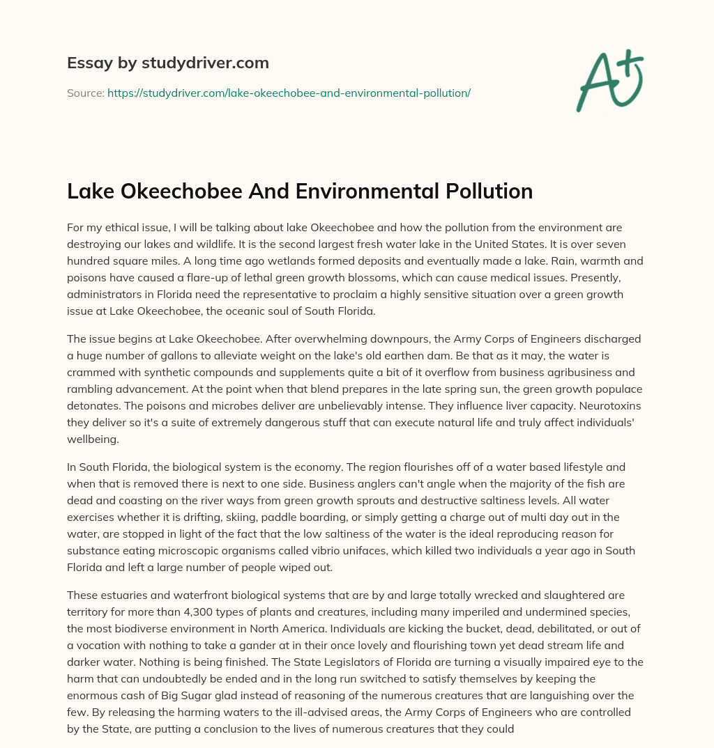 Lake Okeechobee and Environmental Pollution essay