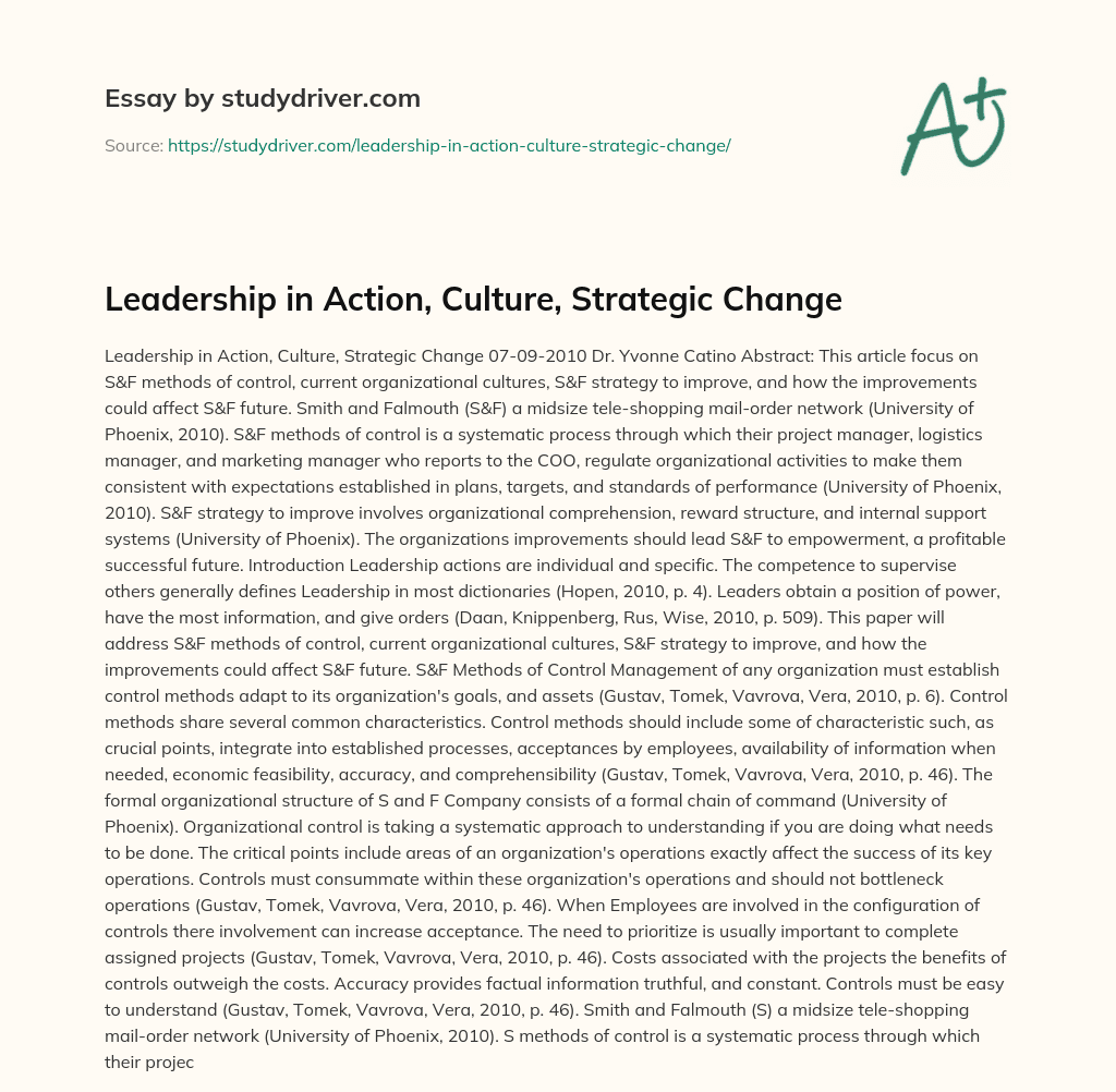 Leadership in Action, Culture, Strategic Change essay
