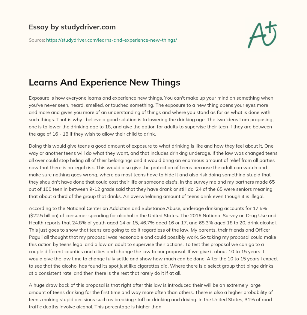Learns and Experience New Things essay