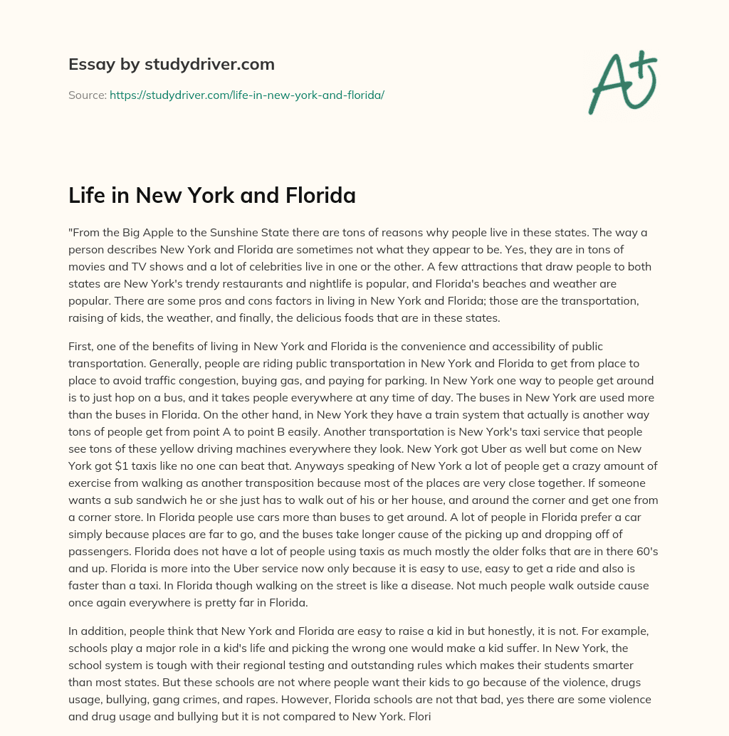 Life in New York and Florida essay