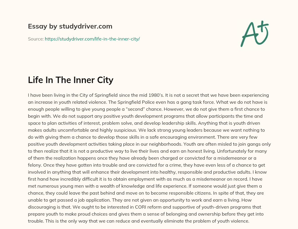 Life in the Inner City essay