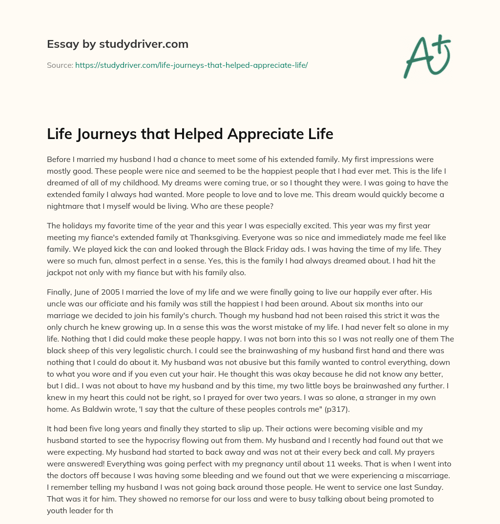 Life Journeys that Helped Appreciate Life essay