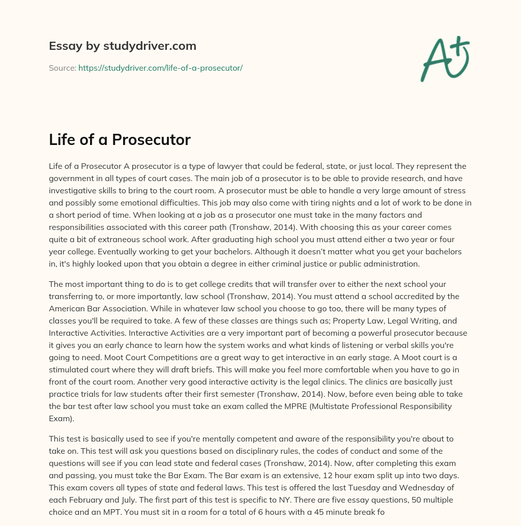 Life of a Prosecutor essay