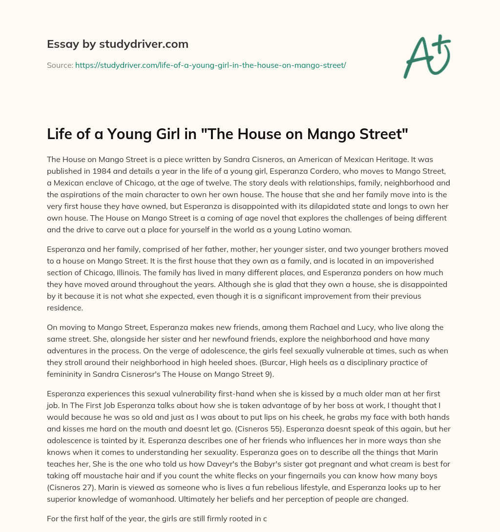 Life of a Young Girl in “The House on Mango Street” essay