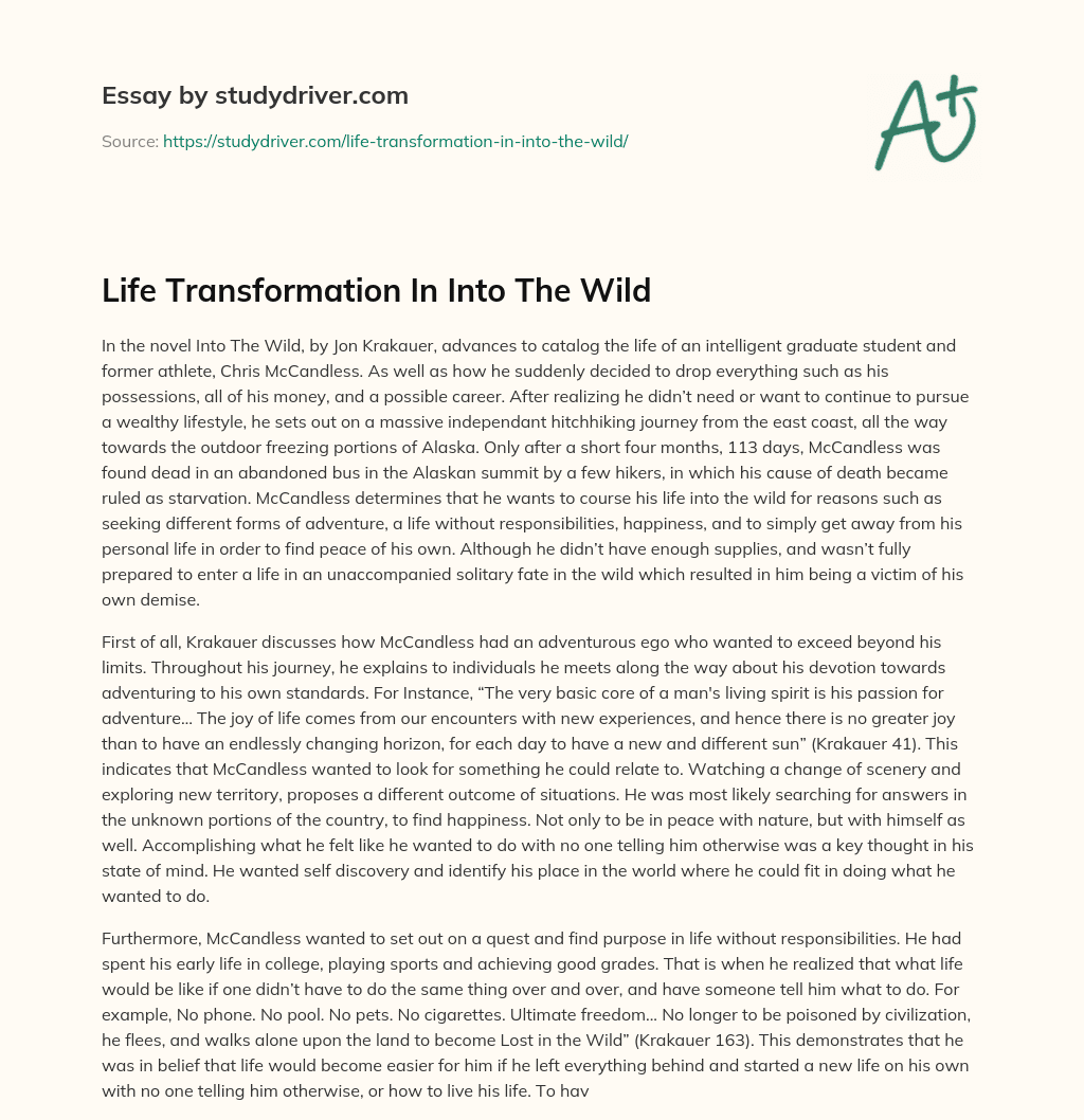 Life Transformation in into the Wild essay