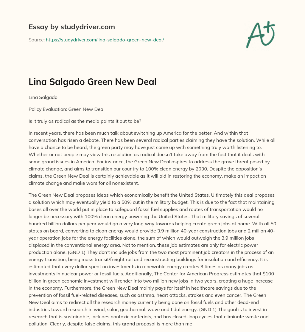 Lina Salgado Green New Deal essay